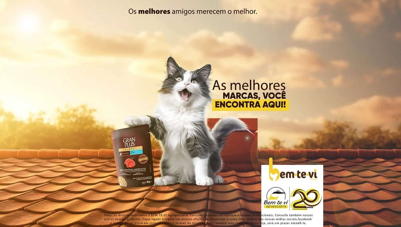 CONCEITO BEM TE VI